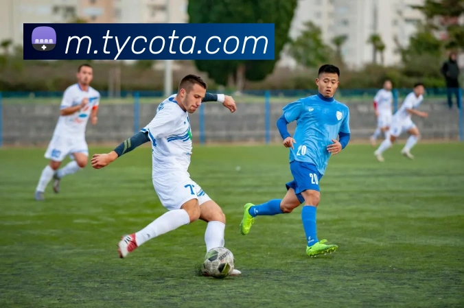 太阳城平台生态图