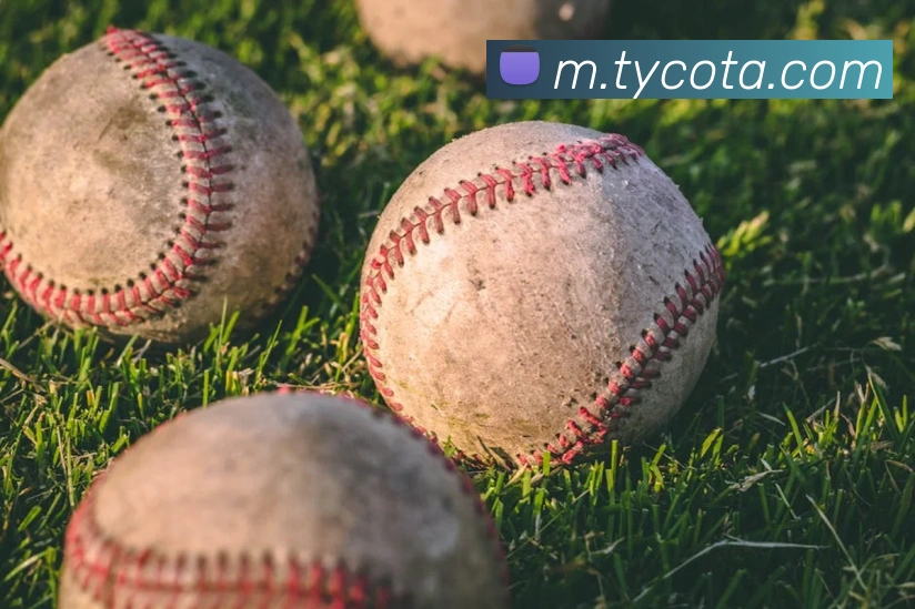 太阳城APP 封面图